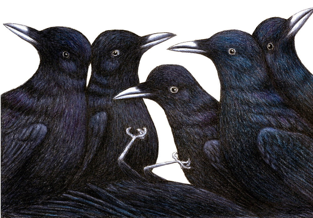 A Murder of Crows