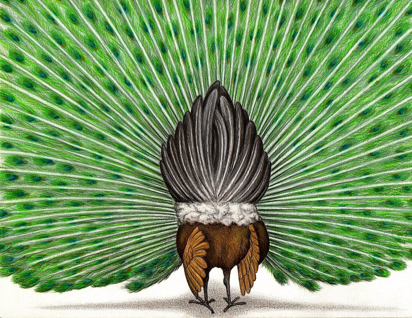 Does My Butt Look Big