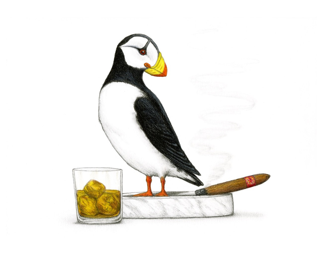 Puffin