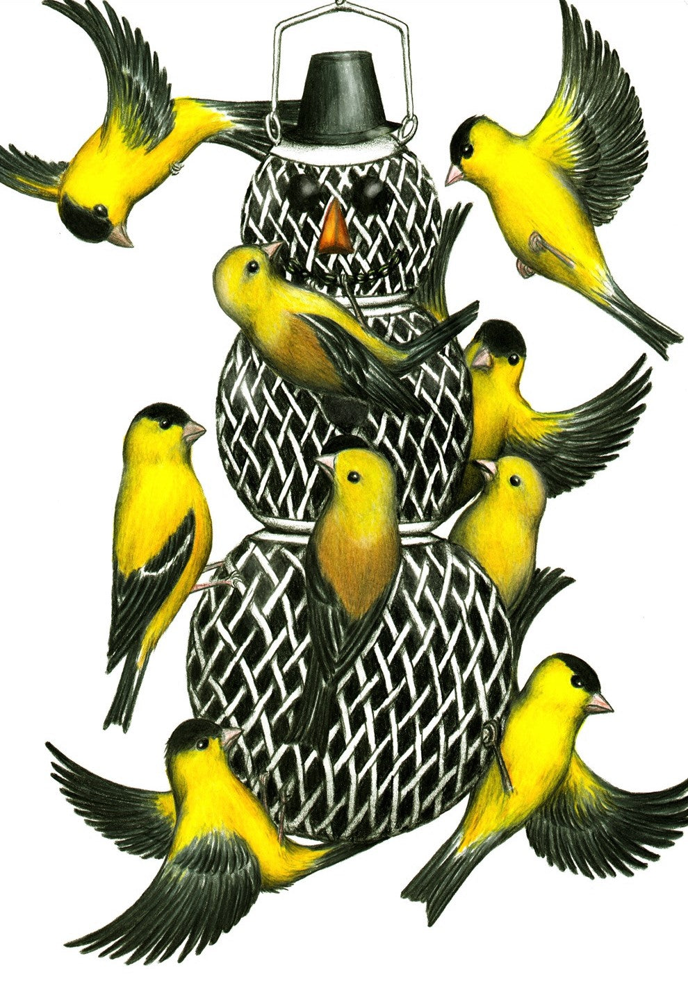 Snow Birds