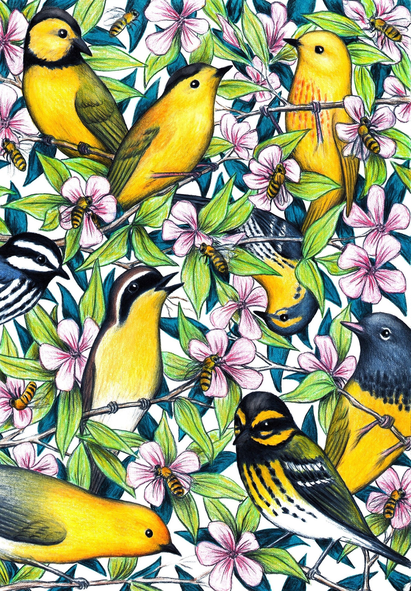 The Birds and the Bees