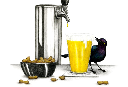Brewer's Barley