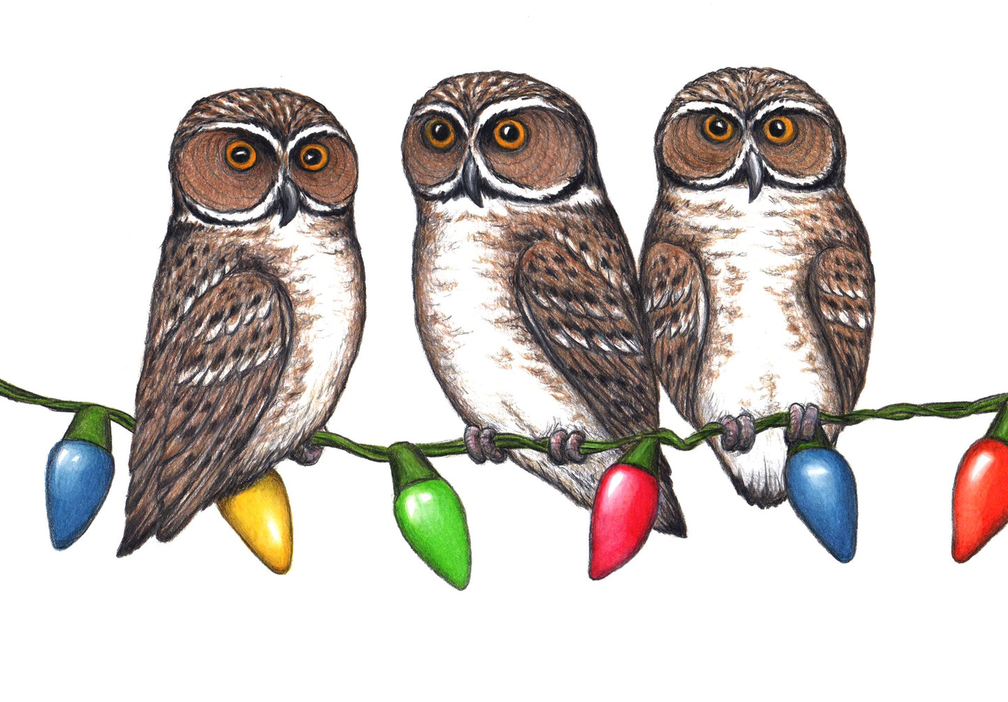 Elf Owls