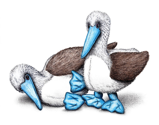 Fake Boobies