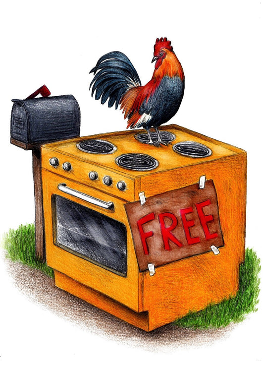 Free Range Chicken