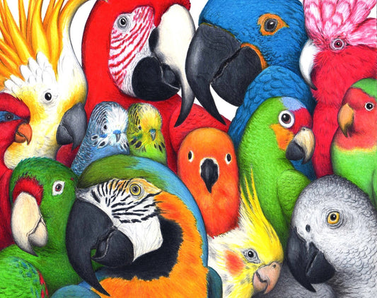 Parrotheads