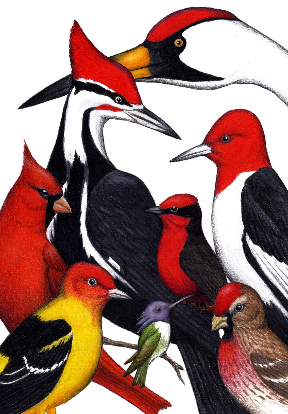 Red Heads