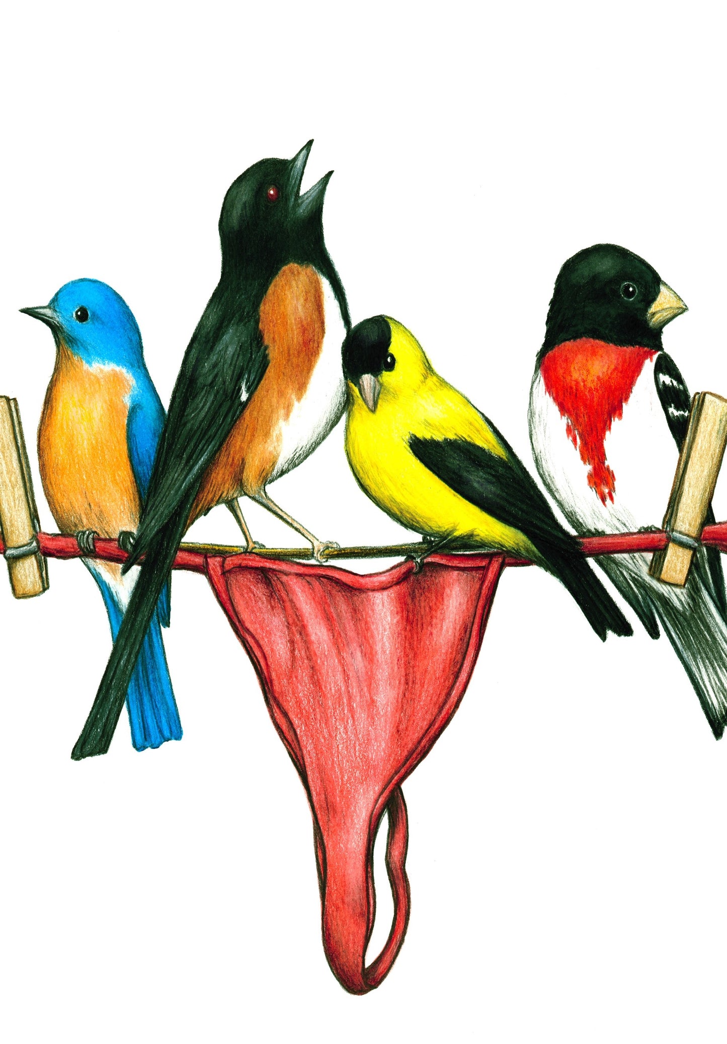 Thong Birds