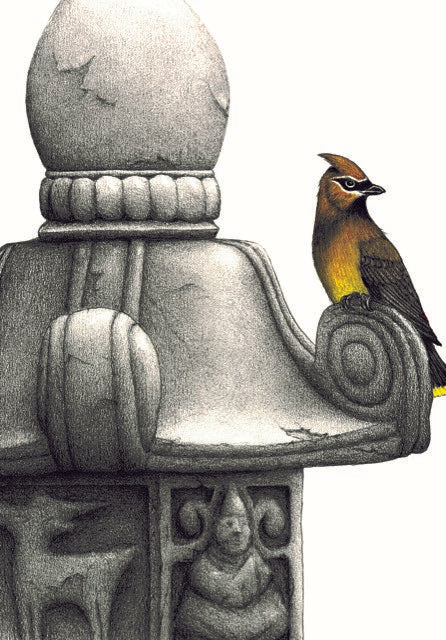 Waxwing Poetic