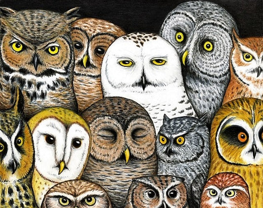 Who's Hoo